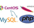Web – программирование – PHP, MySQL, Apache